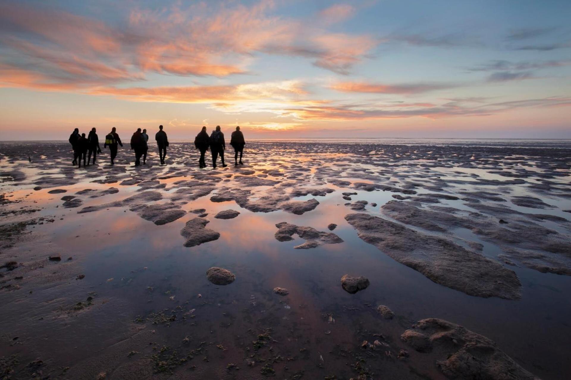 Enjoy Natur, See Und Meer Chalet Lauwersoog- 1-6 Pers- 3 Schlafzimmer, 2 Badezimmer- Fruehes Einchecken Ab 14 Uhr Exterior foto